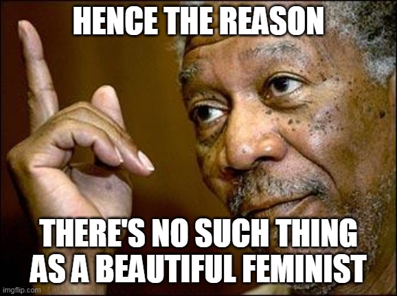 This Morgan Freeman | HENCE THE REASON THERE'S NO SUCH THING AS A BEAUTIFUL FEMINIST | image tagged in this morgan freeman | made w/ Imgflip meme maker