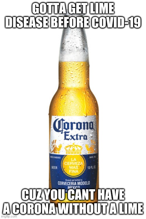 GOTTA GET LIME DISEASE BEFORE COVID-19; CUZ YOU CANT HAVE A CORONA WITHOUT A LIME | image tagged in corona,covid-19,lime desease | made w/ Imgflip meme maker