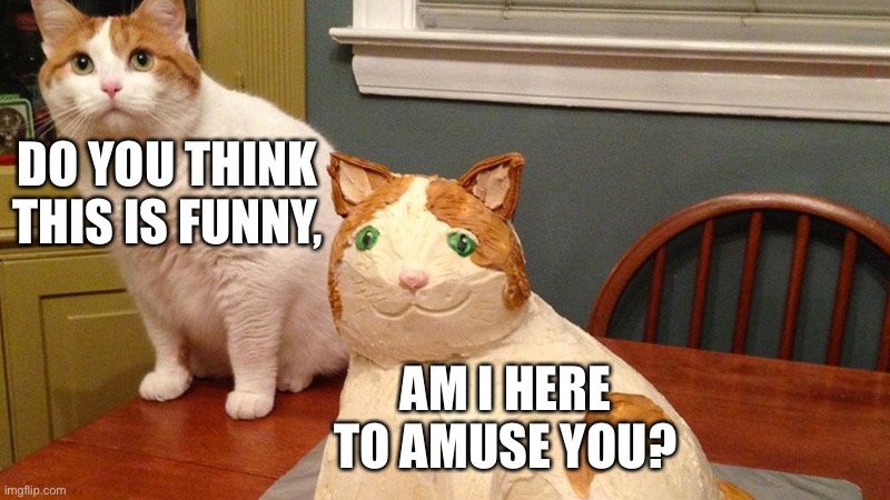 Cat Cake | DO YOU THINK THIS IS FUNNY, AM I HERE TO AMUSE YOU? | image tagged in cat cake | made w/ Imgflip meme maker