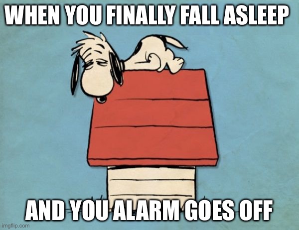 Snoopy bushed | WHEN YOU FINALLY FALL ASLEEP; AND YOU ALARM GOES OFF | image tagged in snoopy bushed | made w/ Imgflip meme maker