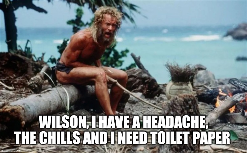 Willlllson | WILSON, I HAVE A HEADACHE, THE CHILLS AND I NEED TOILET PAPER | image tagged in tom hanks,coronavirus,covid-19,pandemic,funny,wilson | made w/ Imgflip meme maker