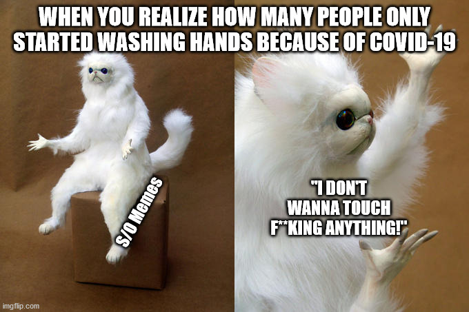 Persian Cat Room Guardian Meme | WHEN YOU REALIZE HOW MANY PEOPLE ONLY STARTED WASHING HANDS BECAUSE OF COVID-19; "I DON'T WANNA TOUCH F**KING ANYTHING!"; S/O Memes | image tagged in memes,persian cat room guardian | made w/ Imgflip meme maker