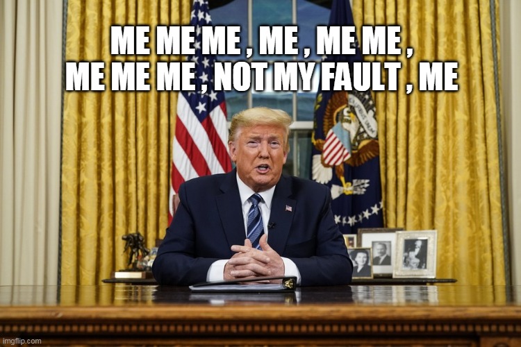 ME ME ME , ME , ME ME , ME ME ME , NOT MY FAULT , ME | image tagged in trump | made w/ Imgflip meme maker