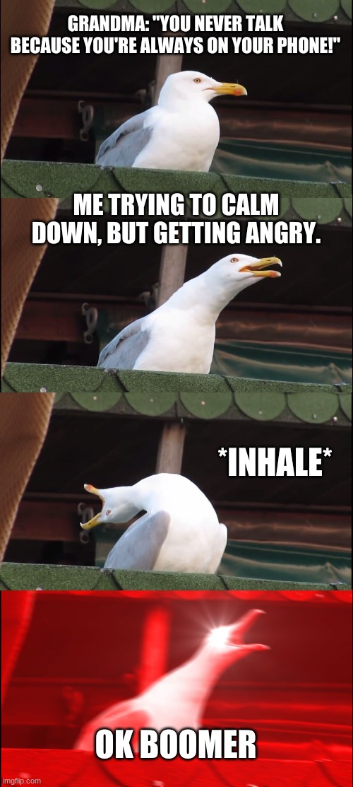 Inhaling Seagull | GRANDMA: "YOU NEVER TALK BECAUSE YOU'RE ALWAYS ON YOUR PHONE!"; ME TRYING TO CALM DOWN, BUT GETTING ANGRY. *INHALE*; OK BOOMER | image tagged in memes,inhaling seagull | made w/ Imgflip meme maker