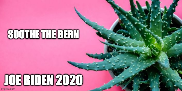 Soothe the Bern. | SOOTHE THE BERN; JOE BIDEN 2020 | image tagged in bernie sanders,joe biden,election,election 2020,2020 | made w/ Imgflip meme maker