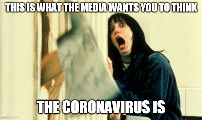 This is what the media wants you to think the coronavirus is | THIS IS WHAT THE MEDIA WANTS YOU TO THINK; THE CORONAVIRUS IS | image tagged in fear,coronavirus,the shining | made w/ Imgflip meme maker