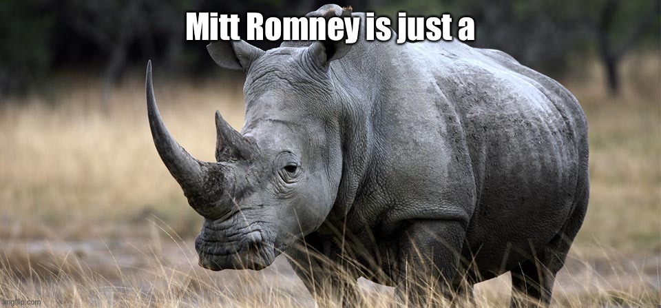 rhino | Mitt Romney is just a | image tagged in rhino | made w/ Imgflip meme maker