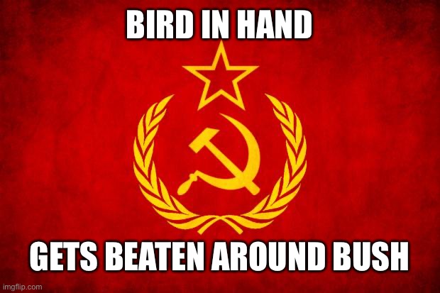 certainly not in public | BIRD IN HAND; GETS BEATEN AROUND BUSH | image tagged in in soviet russia,soviet mixed metaphor | made w/ Imgflip meme maker