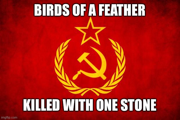 simple solution | BIRDS OF A FEATHER; KILLED WITH ONE STONE | image tagged in in soviet russia,soviet mixed metaphor | made w/ Imgflip meme maker