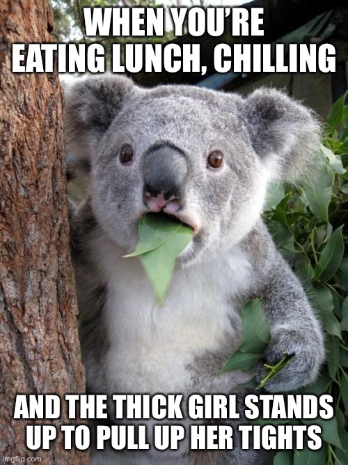 Surprised Koala | WHEN YOU’RE EATING LUNCH, CHILLING; AND THE THICK GIRL STANDS UP TO PULL UP HER TIGHTS | image tagged in memes,surprised koala | made w/ Imgflip meme maker