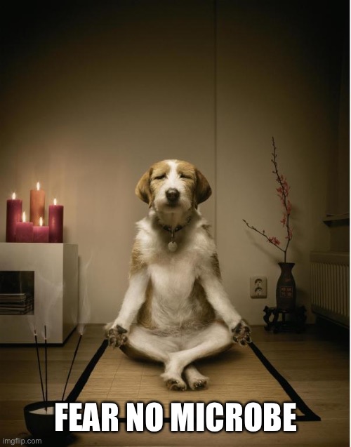 dog meditation funny | FEAR NO MICROBE | image tagged in dog meditation funny | made w/ Imgflip meme maker