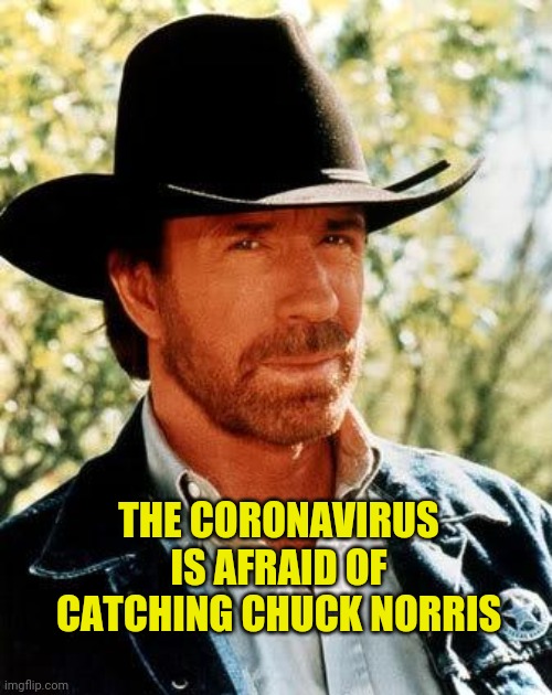 Chuck Norris Meme | THE CORONAVIRUS IS AFRAID OF CATCHING CHUCK NORRIS | image tagged in memes,chuck norris | made w/ Imgflip meme maker