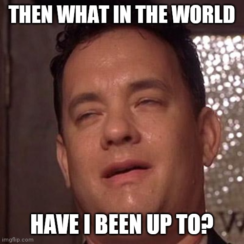 Tom Hanks Orgasm | THEN WHAT IN THE WORLD HAVE I BEEN UP TO? | image tagged in tom hanks orgasm | made w/ Imgflip meme maker