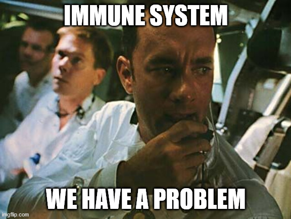 Praying for Tom and Rita to get well very soon!  They are healthy, so they will be fine. | IMMUNE SYSTEM; WE HAVE A PROBLEM | image tagged in houston we have a problem,coronavirus,tom hanks | made w/ Imgflip meme maker