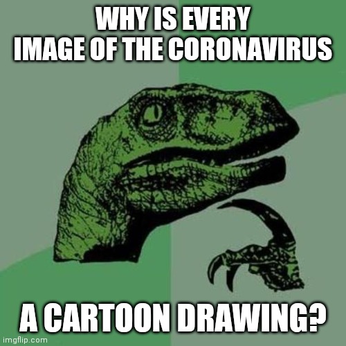 An epidemic of "presumptive" cases with zero proof. | WHY IS EVERY IMAGE OF THE CORONAVIRUS; A CARTOON DRAWING? | image tagged in raptor,coronavirus | made w/ Imgflip meme maker