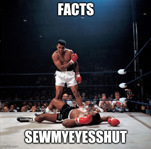 Ali Knockout | FACTS SEWMYEYESSHUT | image tagged in ali knockout | made w/ Imgflip meme maker