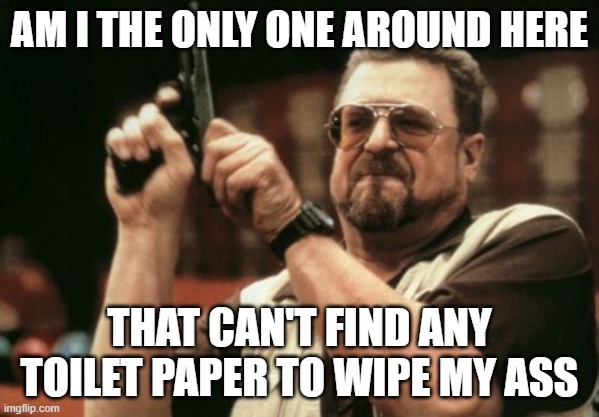 Am I The Only One Around Here Meme | AM I THE ONLY ONE AROUND HERE; THAT CAN'T FIND ANY TOILET PAPER TO WIPE MY ASS | image tagged in memes,am i the only one around here,toilet paper,no more toilet paper,toilet humor,toilet | made w/ Imgflip meme maker