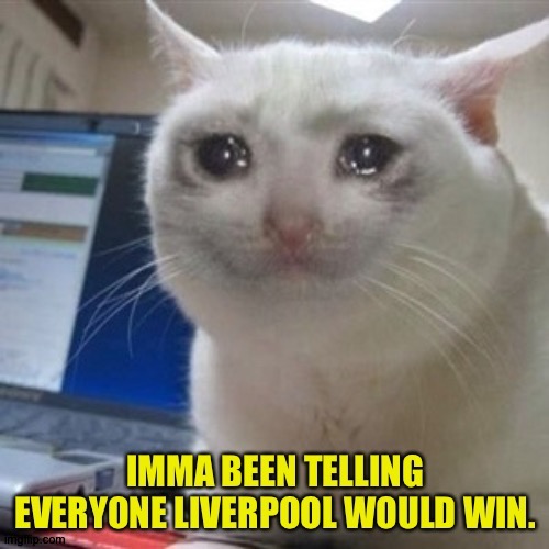 Knocked out by Atletico | image tagged in crying cat | made w/ Imgflip meme maker