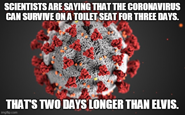 Coronavirus Can Outlive Elvis | SCIENTISTS ARE SAYING THAT THE CORONAVIRUS CAN SURVIVE ON A TOILET SEAT FOR THREE DAYS. THAT'S TWO DAYS LONGER THAN ELVIS. | image tagged in coronavirus,covid-19,pandemic,virus,elvis | made w/ Imgflip meme maker