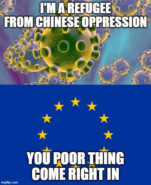 I'M A REFUGEE FROM CHINESE OPPRESSION; YOU POOR THING COME RIGHT IN | image tagged in eu flag,coronavirus | made w/ Imgflip meme maker