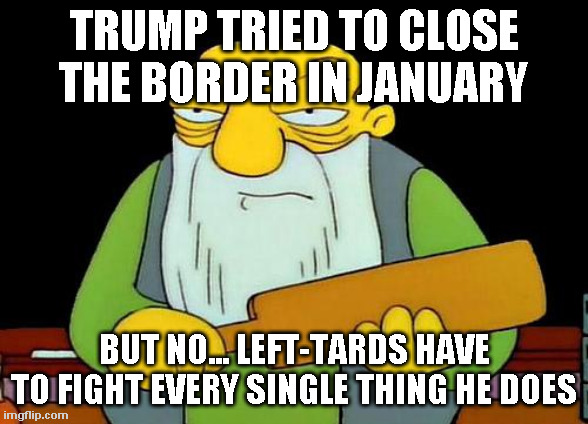'bout time for an ass whuppin' | TRUMP TRIED TO CLOSE THE BORDER IN JANUARY; BUT NO... LEFT-TARDS HAVE TO FIGHT EVERY SINGLE THING HE DOES | image tagged in trump travel ban,left-tard judge | made w/ Imgflip meme maker