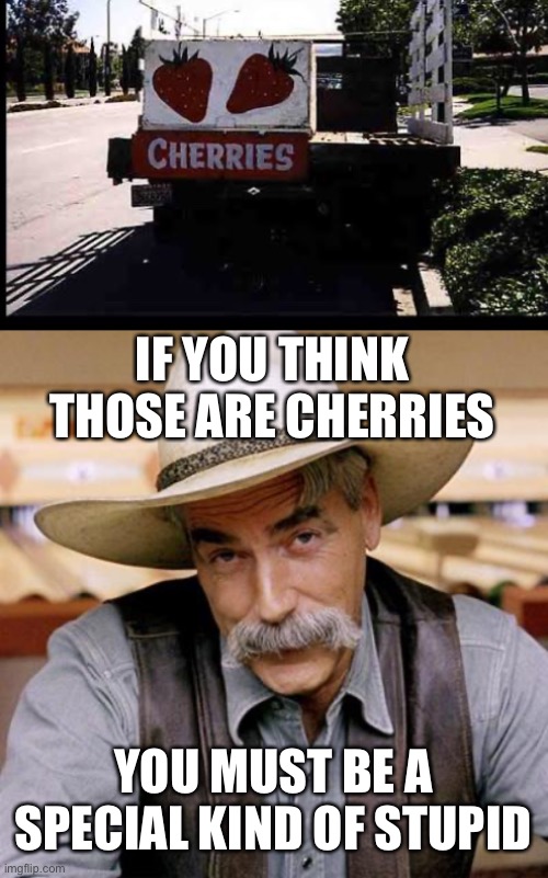 IF YOU THINK THOSE ARE CHERRIES; YOU MUST BE A SPECIAL KIND OF STUPID | image tagged in sarcasm cowboy | made w/ Imgflip meme maker