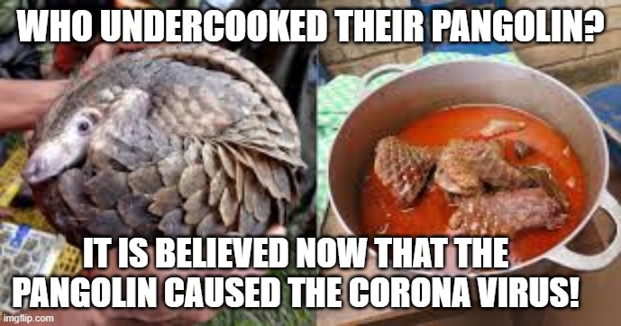 Did undercooked Pangolin cause the Corona Virus? | WHO UNDERCOOKED THEIR PANGOLIN? IT IS BELIEVED NOW THAT THE PANGOLIN CAUSED THE CORONA VIRUS! | image tagged in corona virus | made w/ Imgflip meme maker