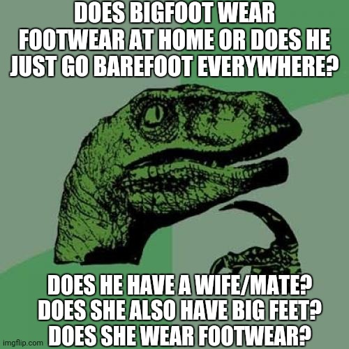 Bigfoot | DOES BIGFOOT WEAR FOOTWEAR AT HOME OR DOES HE JUST GO BAREFOOT EVERYWHERE? DOES HE HAVE A WIFE/MATE?

DOES SHE ALSO HAVE BIG FEET?

DOES SHE WEAR FOOTWEAR? | image tagged in memes,philosoraptor,bigfoot,footwear,wife,home | made w/ Imgflip meme maker