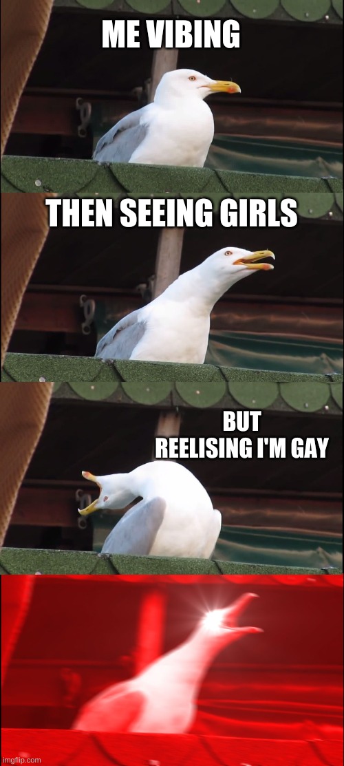 Inhaling Seagull | ME VIBING; THEN SEEING GIRLS; BUT REELISING I'M GAY | image tagged in memes,inhaling seagull | made w/ Imgflip meme maker