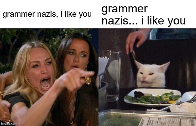 grammer nazis, i like you grammer nazis... i like you | image tagged in memes,woman yelling at cat | made w/ Imgflip meme maker