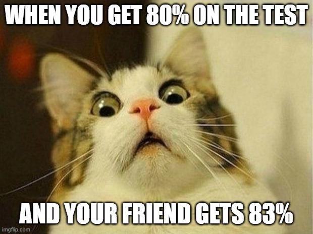 Scared Cat Meme | WHEN YOU GET 80% ON THE TEST; AND YOUR FRIEND GETS 83% | image tagged in memes,scared cat | made w/ Imgflip meme maker