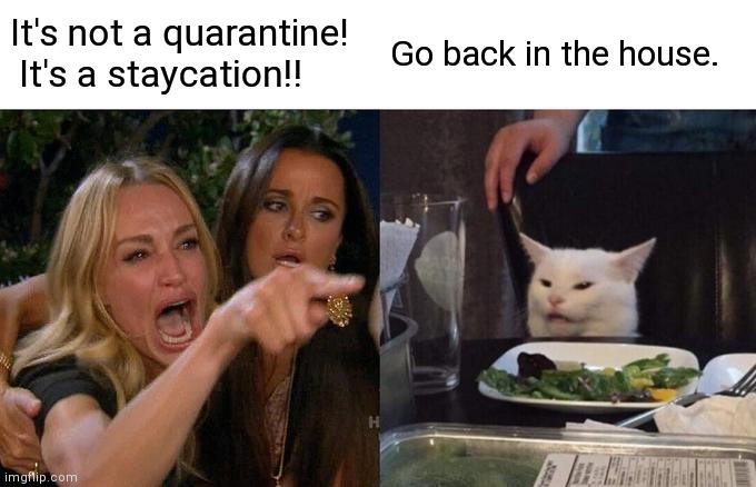 Woman Yelling At Cat Meme | It's not a quarantine!  It's a staycation!! Go back in the house. | image tagged in memes,woman yelling at cat | made w/ Imgflip meme maker