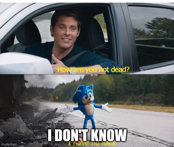 sonic how are you not dead |  I DON'T KNOW | image tagged in sonic how are you not dead | made w/ Imgflip meme maker