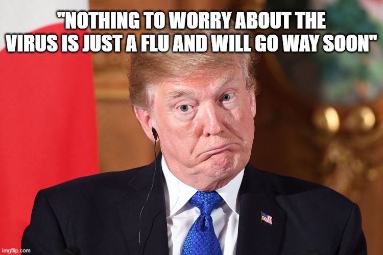 Trump dumbfounded | "NOTHING TO WORRY ABOUT THE VIRUS IS JUST A FLU AND WILL GO WAY SOON" | image tagged in trump dumbfounded | made w/ Imgflip meme maker