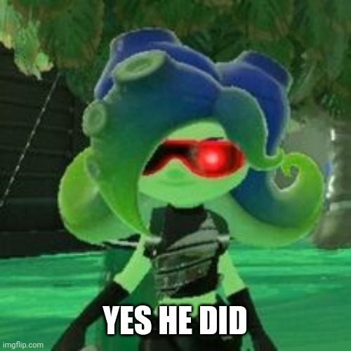 Sanitized Octoling | YES HE DID | image tagged in sanitized octoling | made w/ Imgflip meme maker