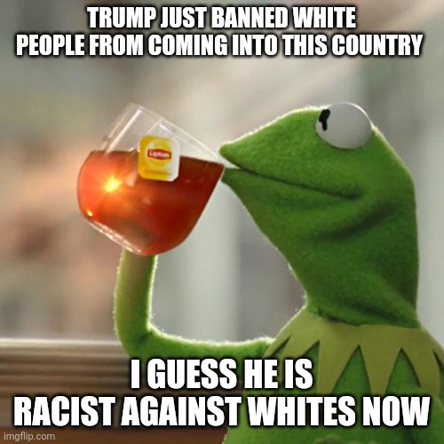 But That's None Of My Business | TRUMP JUST BANNED WHITE PEOPLE FROM COMING INTO THIS COUNTRY; I GUESS HE IS RACIST AGAINST WHITES NOW | image tagged in memes,but thats none of my business,kermit the frog | made w/ Imgflip meme maker