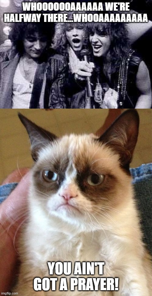 Negative Bon Jovi | WHOOOOOOAAAAAA WE'RE HALFWAY THERE...WHOOAAAAAAAAA; YOU AIN'T GOT A PRAYER! | image tagged in memes,grumpy cat,halfway there | made w/ Imgflip meme maker