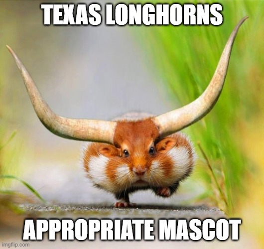 Hamster Longhorn | TEXAS LONGHORNS; APPROPRIATE MASCOT | image tagged in hamster longhorn | made w/ Imgflip meme maker