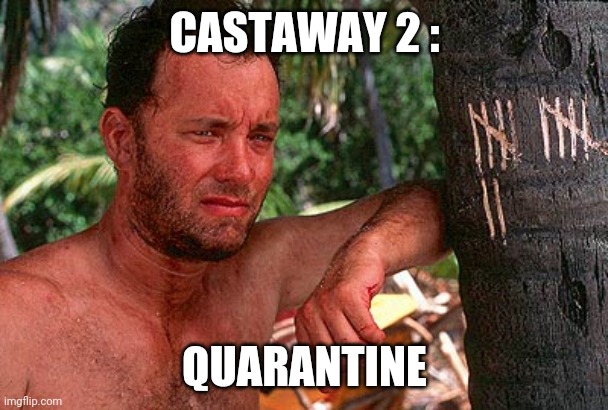 Tom Hanks Castaway tree | CASTAWAY 2 :; QUARANTINE | image tagged in tom hanks castaway tree | made w/ Imgflip meme maker
