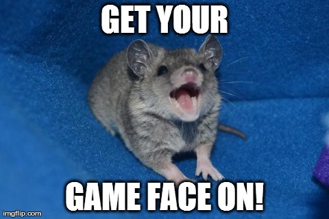 GET YOUR GAME FACE ON! | image tagged in argh | made w/ Imgflip meme maker