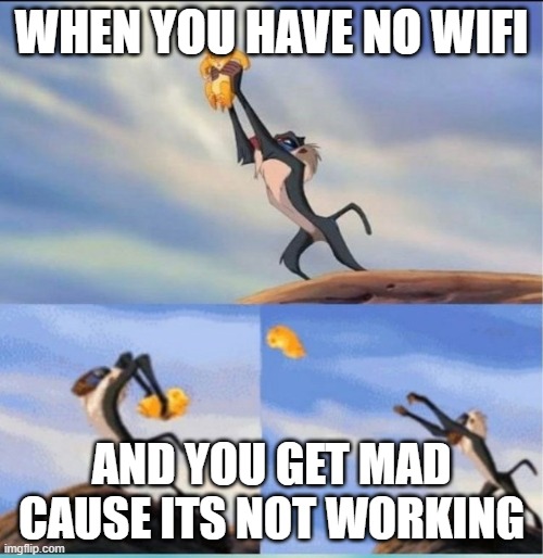 lion being yeeted | WHEN YOU HAVE NO WIFI; AND YOU GET MAD CAUSE ITS NOT WORKING | image tagged in lion being yeeted | made w/ Imgflip meme maker