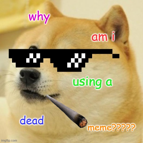Doge Meme | why; am i; using a; dead; meme????? | image tagged in memes,doge | made w/ Imgflip meme maker