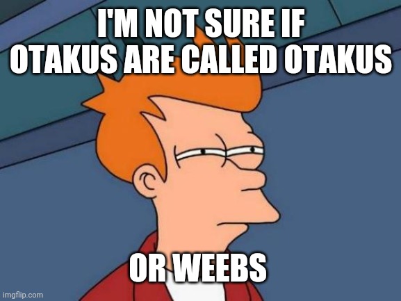 I'M NOT SURE IF OTAKUS ARE CALLED OTAKUS OR WEEBS | image tagged in memes,futurama fry | made w/ Imgflip meme maker