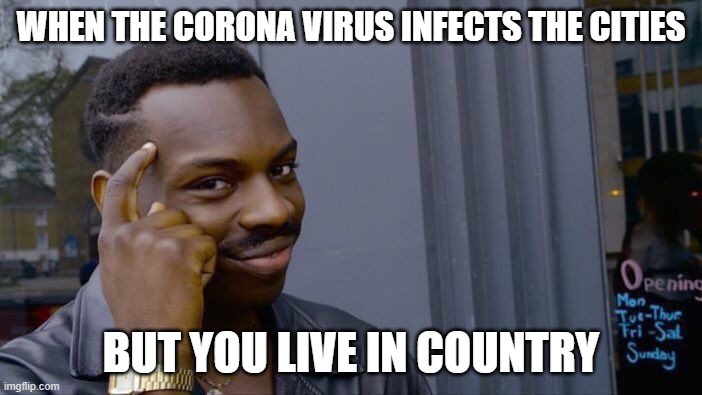 Roll Safe Think About It Meme | WHEN THE CORONA VIRUS INFECTS THE CITIES; BUT YOU LIVE IN COUNTRY | image tagged in memes,roll safe think about it | made w/ Imgflip meme maker