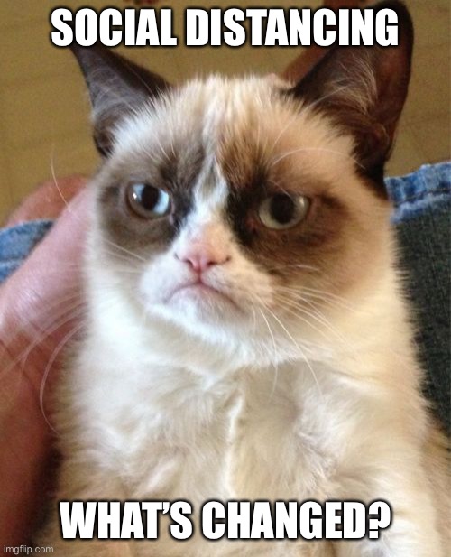 Grumpy Cat Meme | SOCIAL DISTANCING; WHAT’S CHANGED? | image tagged in memes,grumpy cat | made w/ Imgflip meme maker