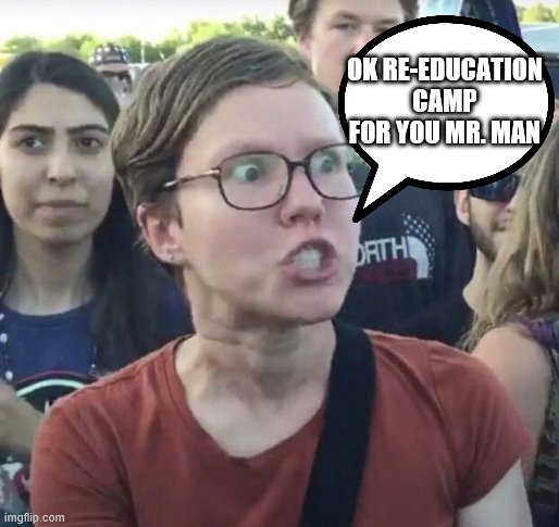 Triggered feminist | OK RE-EDUCATION CAMP FOR YOU MR. MAN | image tagged in triggered feminist | made w/ Imgflip meme maker