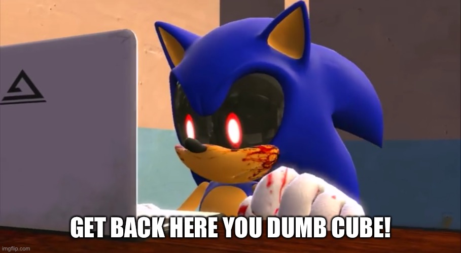 Sonic.exe finds the internet | GET BACK HERE YOU DUMB CUBE! | image tagged in sonicexe finds the internet | made w/ Imgflip meme maker