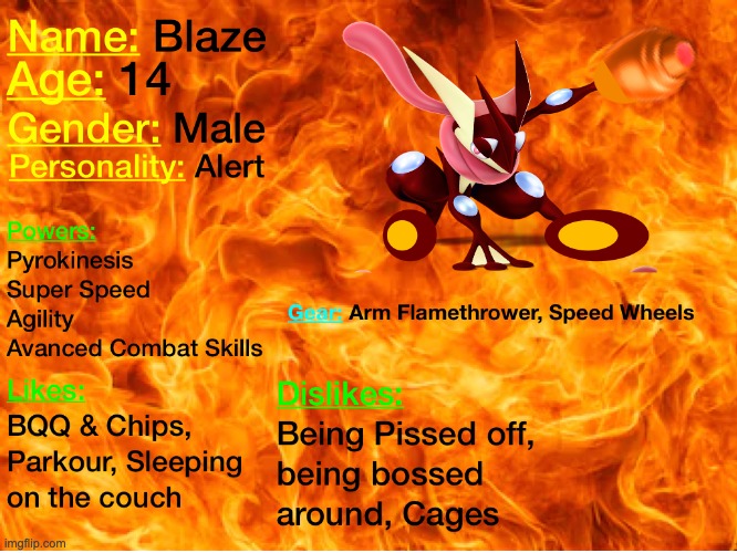 Blaze's Bio | made w/ Imgflip meme maker