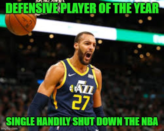  DEFENSIVE PLAYER OF THE YEAR; SINGLE HANDILY SHUT DOWN THE NBA | image tagged in nba | made w/ Imgflip meme maker