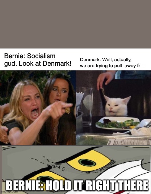 Using Denmark as a political tool lol | Bernie: Socialism gud. Look at Denmark! Denmark: Well, actually, we are trying to pull  away fr—; BERNIE: HOLD IT RIGHT THERE | image tagged in memes,woman yelling at cat | made w/ Imgflip meme maker